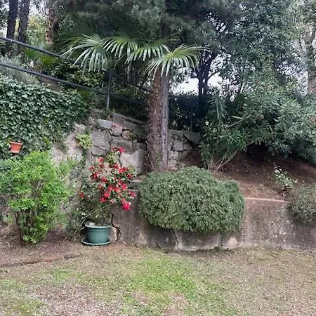 Design Camellia Appartamento *