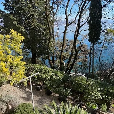 Design Camellia Abbazia