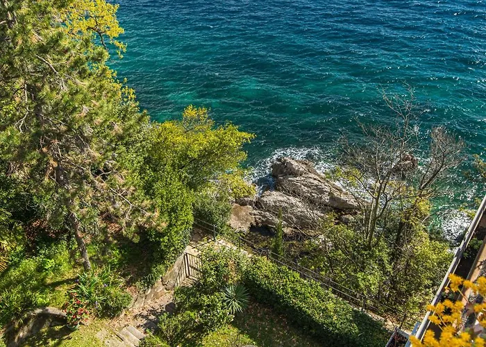 Design Camellia Apartament *