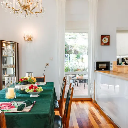 Design Camellia אופטיה